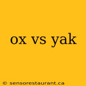 ox vs yak