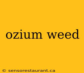 ozium weed