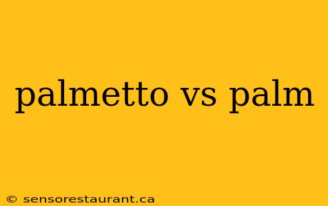 palmetto vs palm