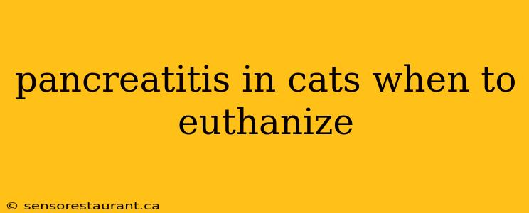 pancreatitis in cats when to euthanize