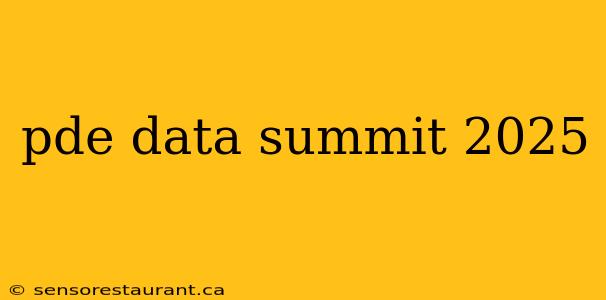 pde data summit 2025