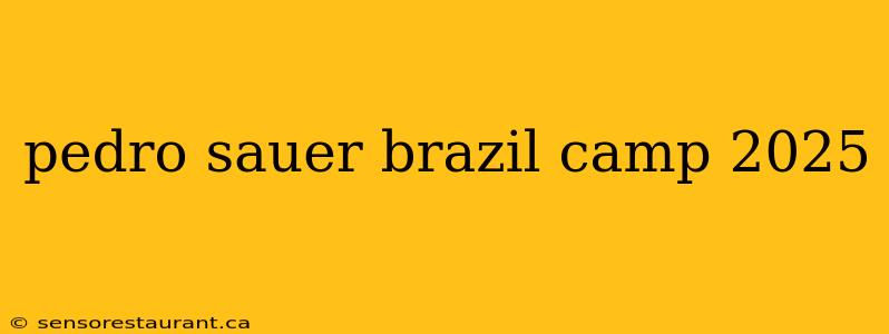 pedro sauer brazil camp 2025