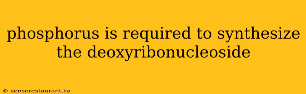 phosphorus is required to synthesize the deoxyribonucleoside