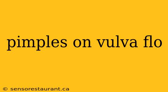 pimples on vulva flo