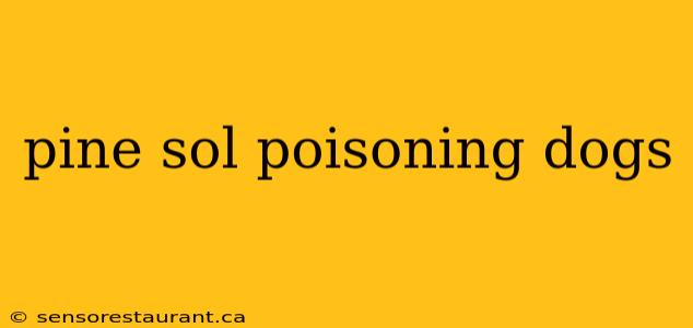 pine sol poisoning dogs