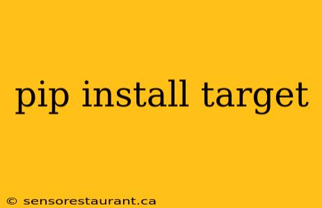 pip install target