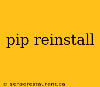 pip reinstall