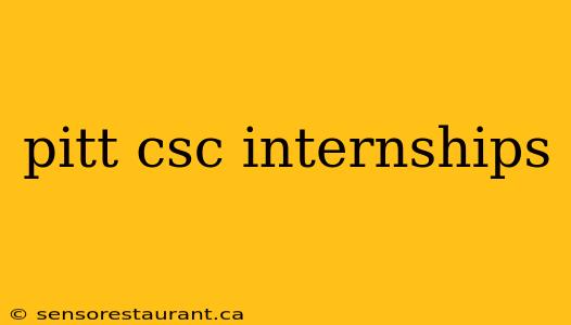 pitt csc internships