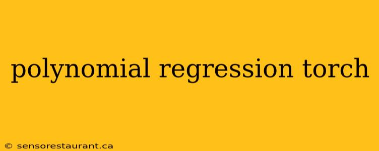 polynomial regression torch