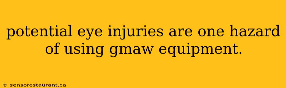 potential eye injuries are one hazard of using gmaw equipment.