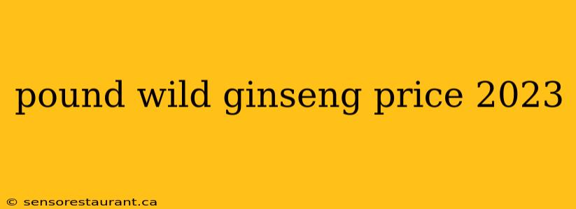 pound wild ginseng price 2023