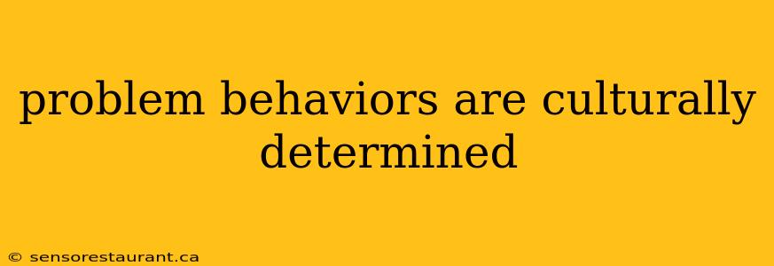 problem behaviors are culturally determined