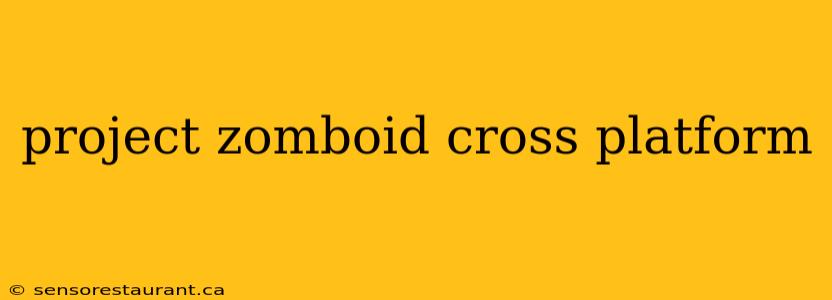 project zomboid cross platform