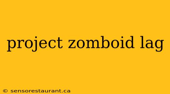 project zomboid lag