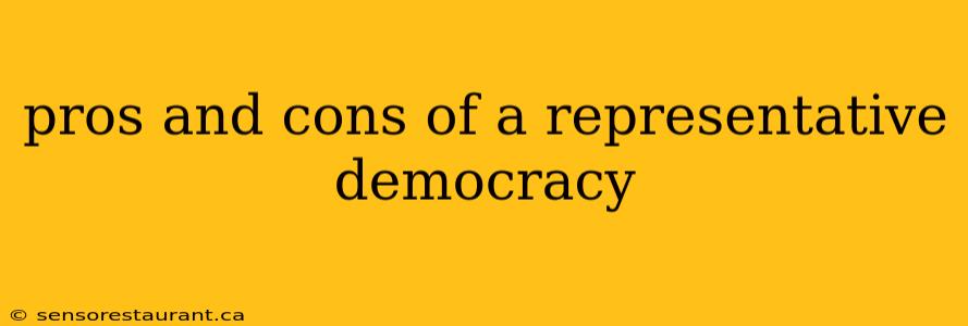 pros and cons of a representative democracy