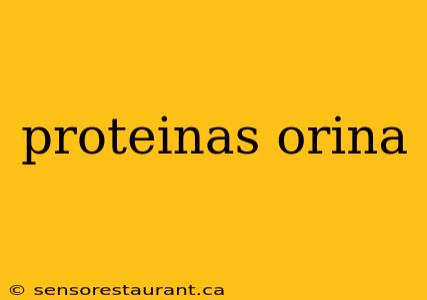 proteinas orina