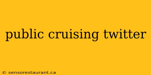 public cruising twitter