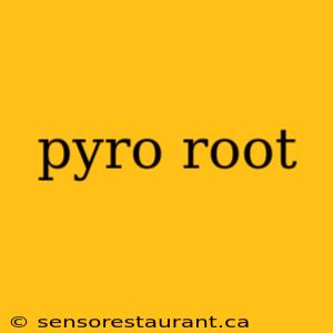 pyro root