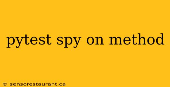 pytest spy on method