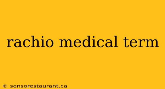 rachio medical term