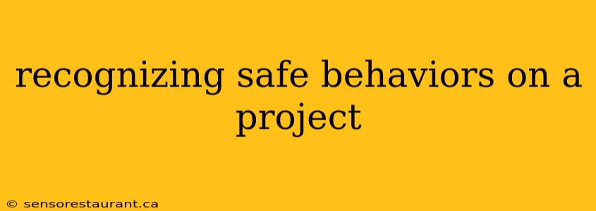 recognizing safe behaviors on a project