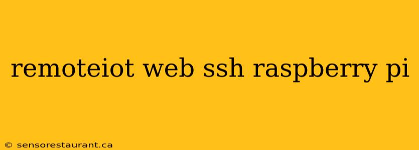 remoteiot web ssh raspberry pi