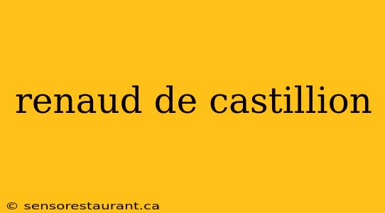 renaud de castillion