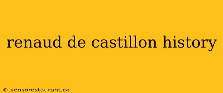 renaud de castillon history