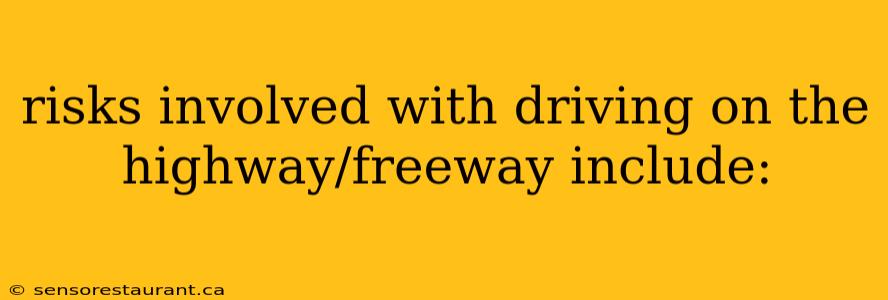 risks involved with driving on the highway/freeway include: