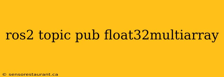 ros2 topic pub float32multiarray