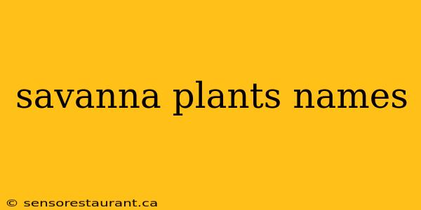 savanna plants names