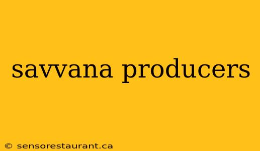 savvana producers