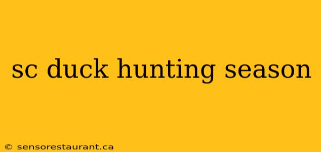 sc duck hunting season