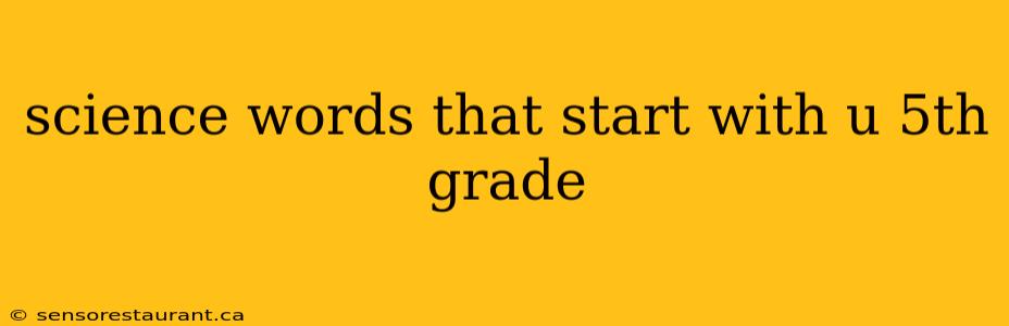 science words that start with u 5th grade