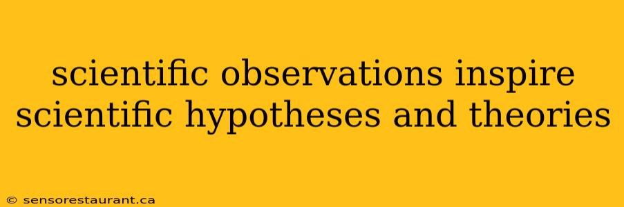 scientific observations inspire scientific hypotheses and theories