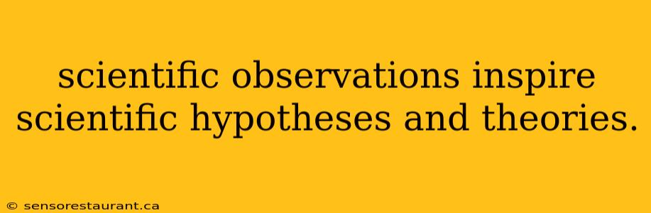 scientific observations inspire scientific hypotheses and theories.