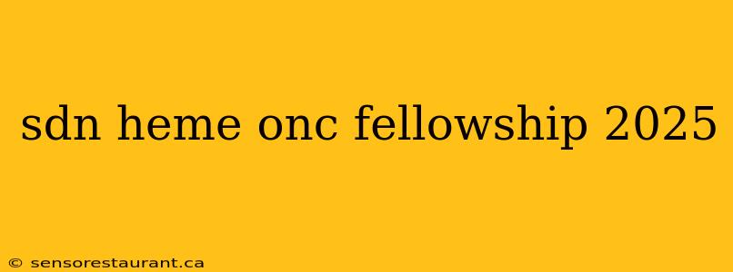 sdn heme onc fellowship 2025