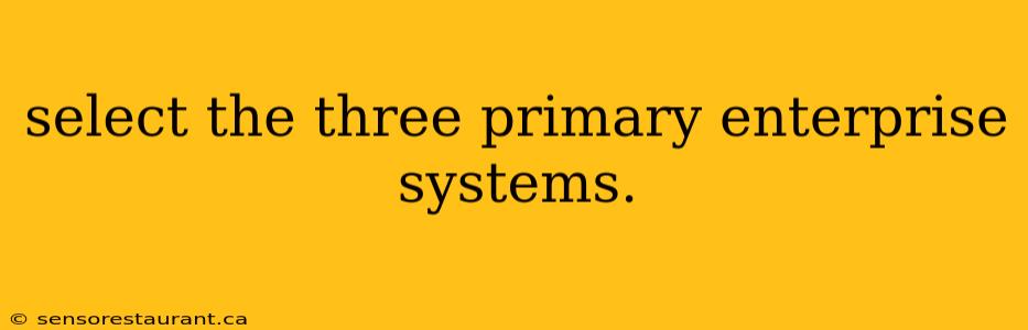 select the three primary enterprise systems.