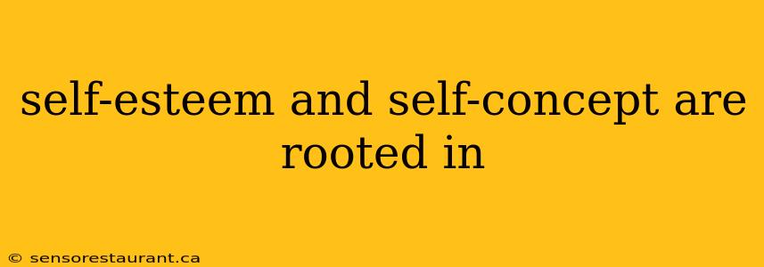 self-esteem and self-concept are rooted in