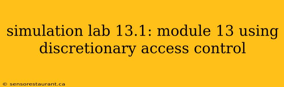 simulation lab 13.1: module 13 using discretionary access control