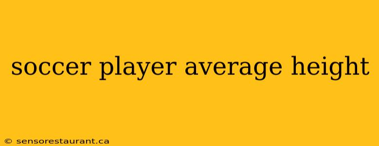 soccer player average height