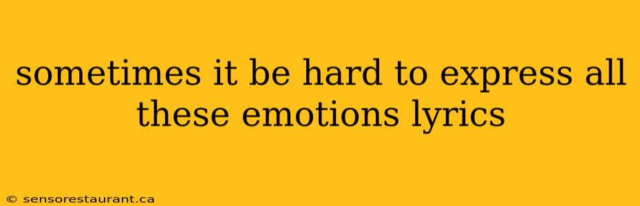 sometimes it be hard to express all these emotions lyrics