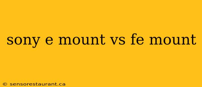 sony e mount vs fe mount