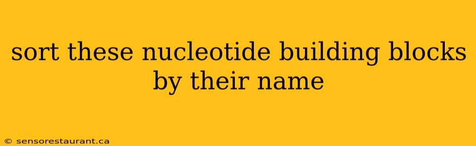 sort these nucleotide building blocks by their name