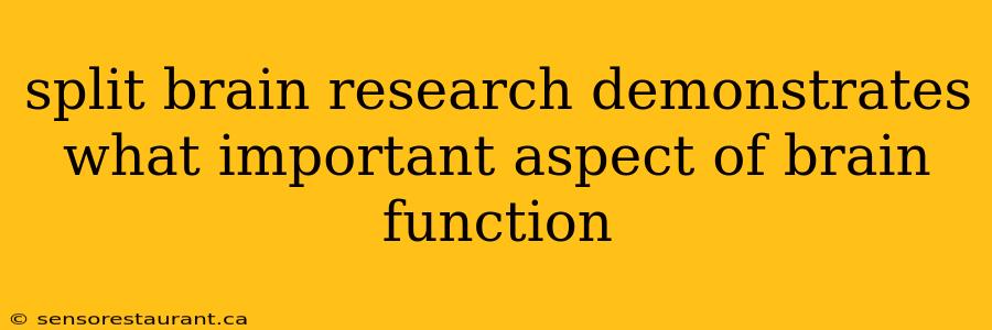 split brain research demonstrates what important aspect of brain function