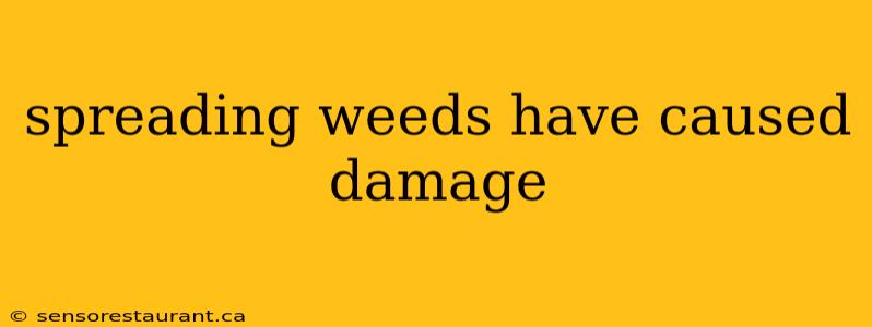 spreading weeds have caused damage