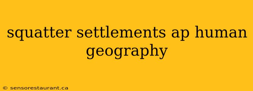 squatter settlements ap human geography