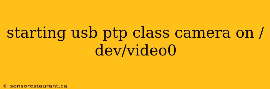 starting usb ptp class camera on /dev/video0