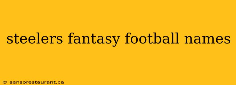 steelers fantasy football names