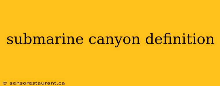 submarine canyon definition